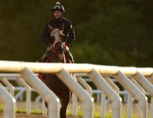 09.07 Corridas &raquo; 09.07 Corridas &raquo; Matinal 06.04.25